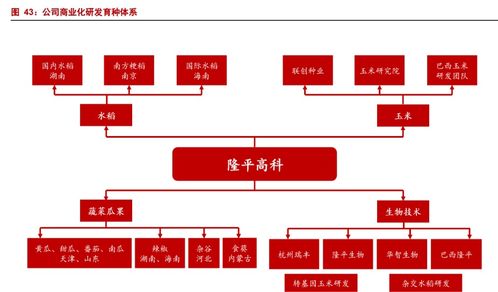 行业景气叠加转基因落地，隆平高科深耕生物育种再添新翼
