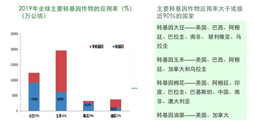 破解种业“卡脖子”难题 我国生物育种产业化走到了哪一步？